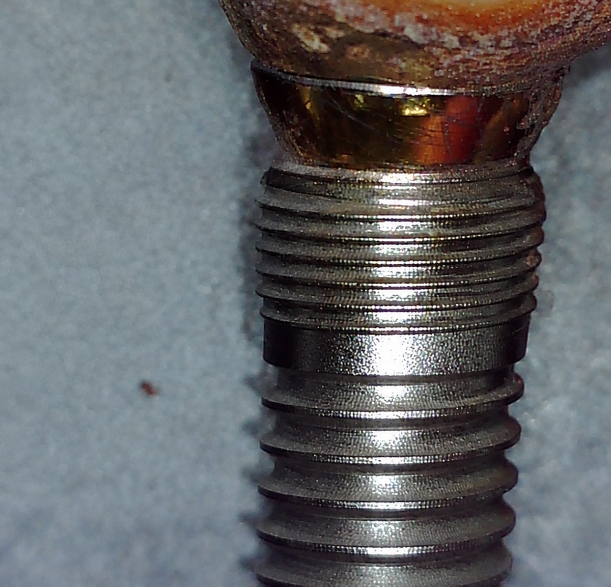 Removed implant A03 after debridement with the NiTi Brush