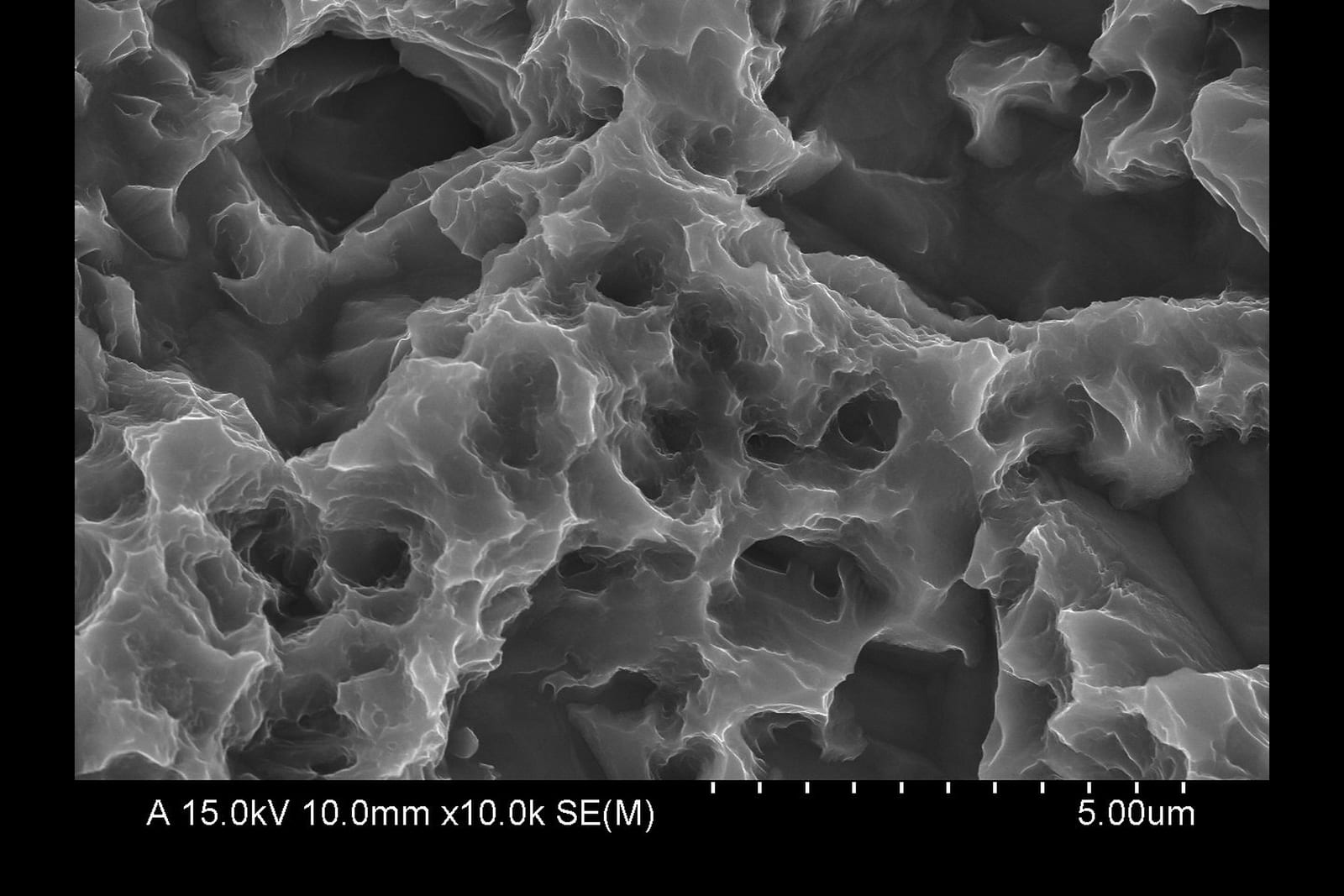 Scanning electron micrograph at 10,000x of a contaminated dental implant surface